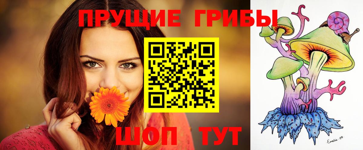 Псилоцибиновые грибы мицелий Сызрань