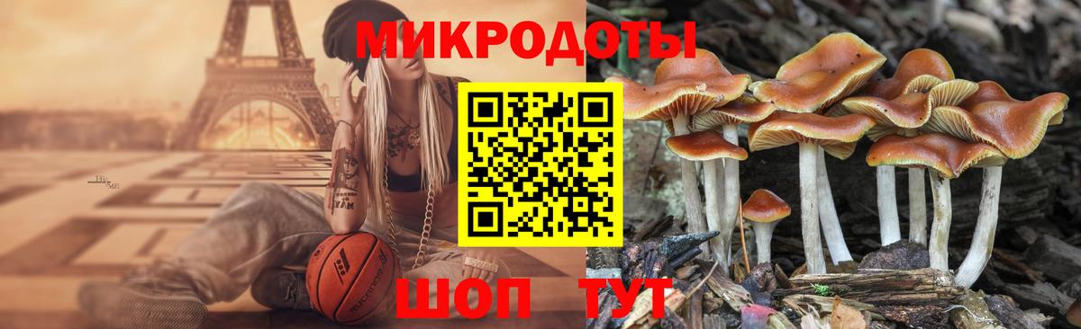 Псилоцибиновые грибы прущие грибы  Галлюциногенные грибы мухоморы  Сызрань  Вход с VPN 